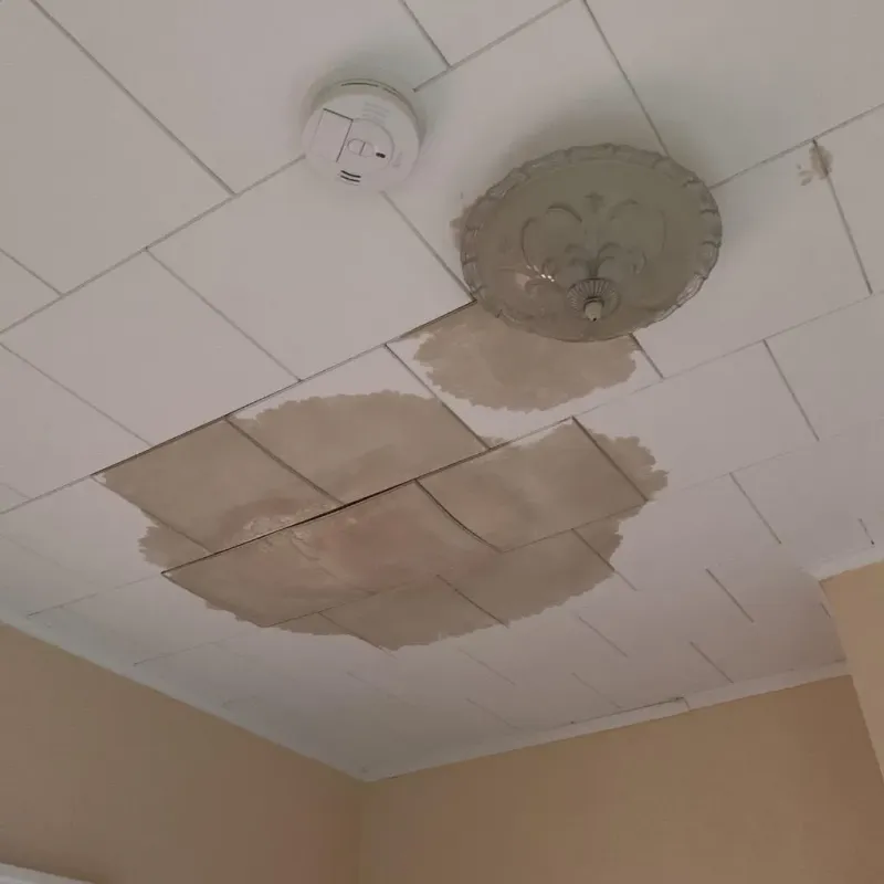 Ceiling Water Damage Repair in Vian, OK