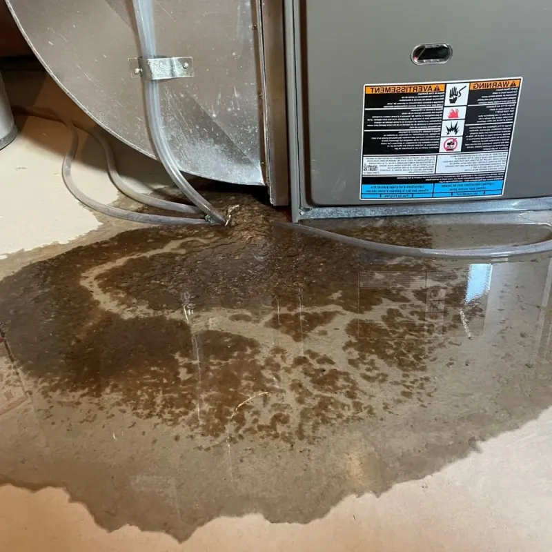 Pipe Burst and Leak Restoration in Vian, OK
